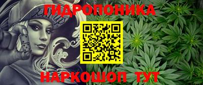 таблы Новозыбков