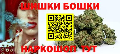 таблы Новозыбков