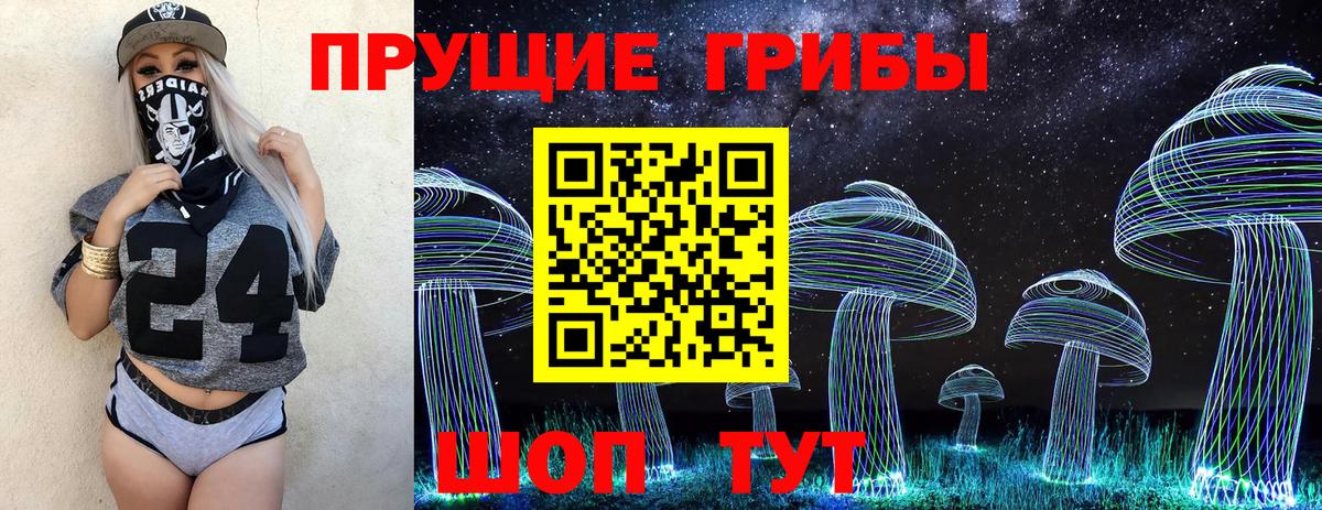 Галлюциногенные грибы Psilocybine cubensis  Вход с VPN  Отрадное 