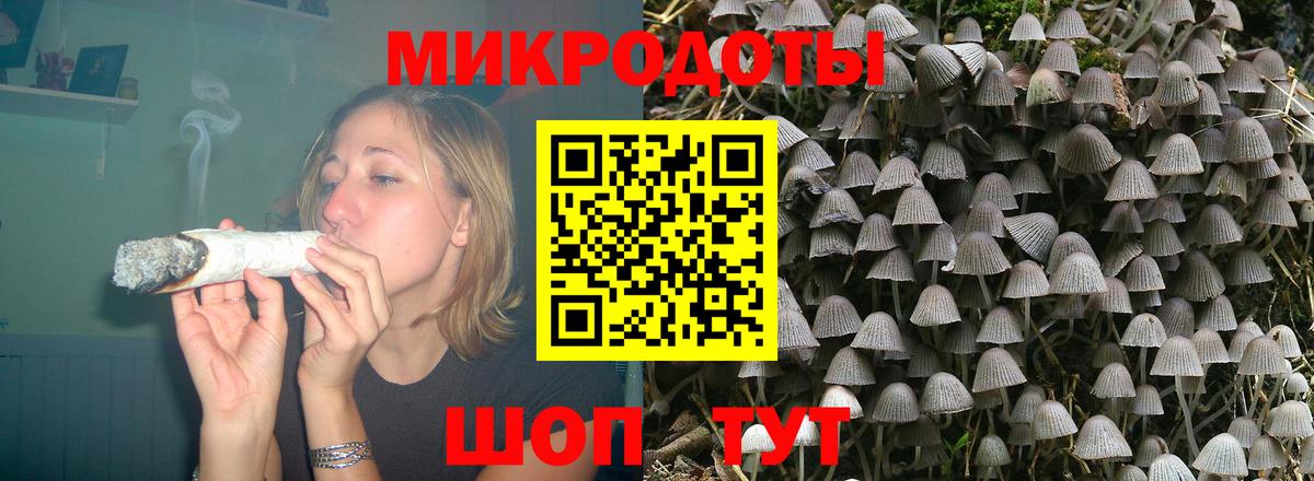 Галлюциногенные грибы MAGIC MUSHROOMS Отрадное